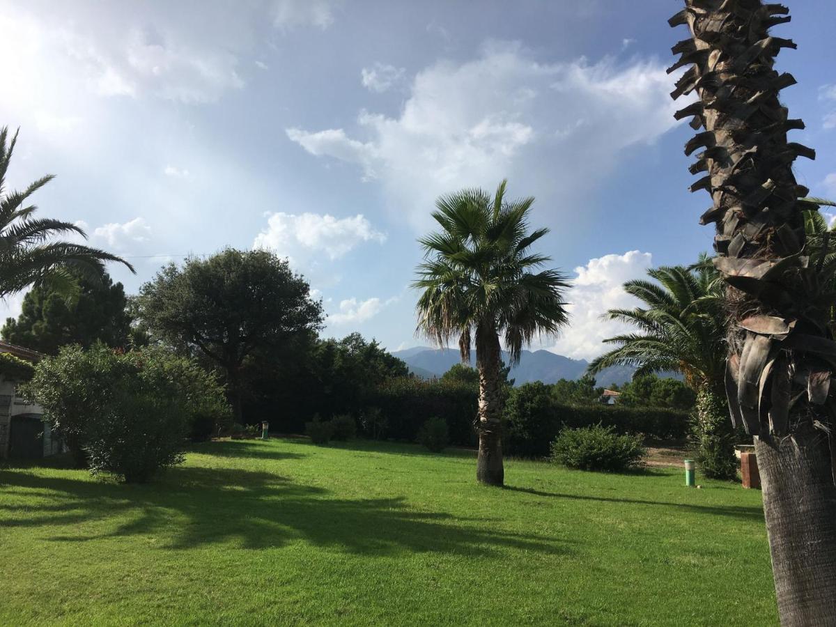 Mini Villa - Corse Du Sud Lecci Dış mekan fotoğraf
